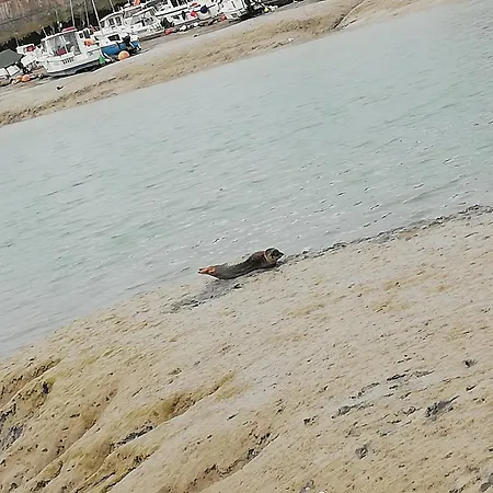 Maison De La - D'ault - Wifi Ault