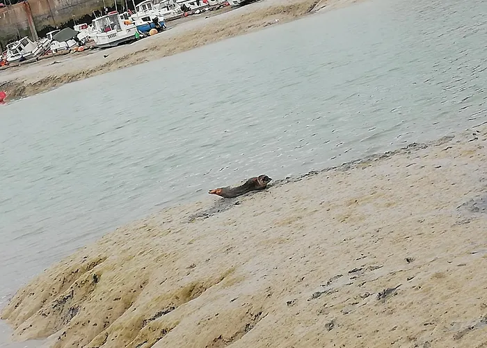 Maison De La - D'ault - Wifi Ault